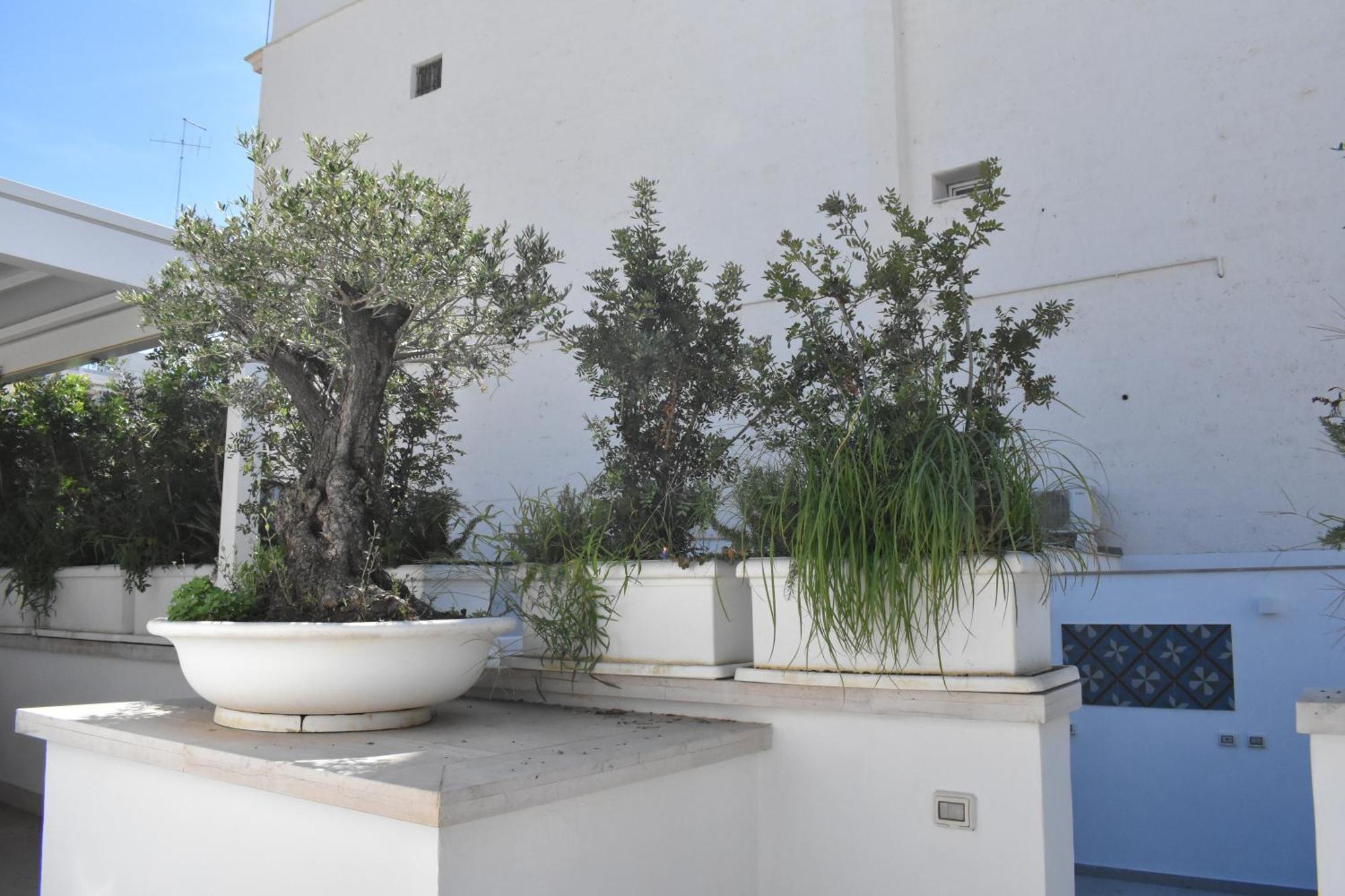 Saint Barth Guest House - Charming Rooms In Bari Exterior foto